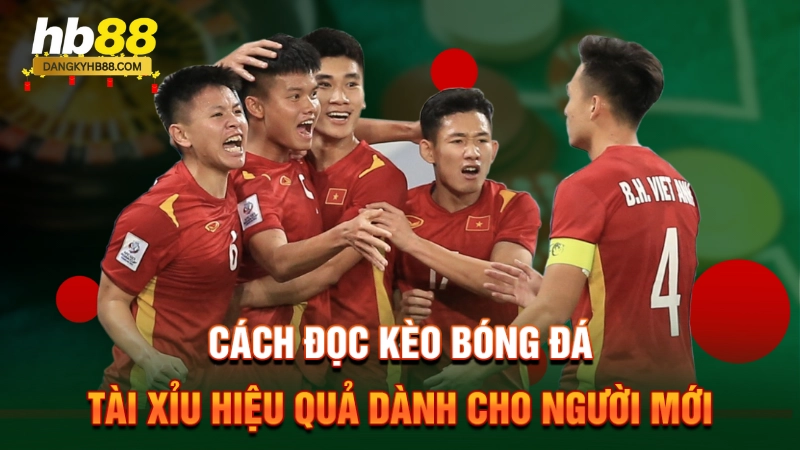 Cách đọc kèo bóng đá tài xỉu hiệu quả cho người mới